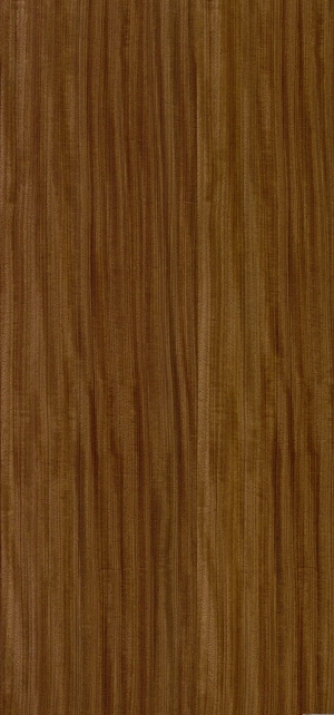 ModernWood Texture