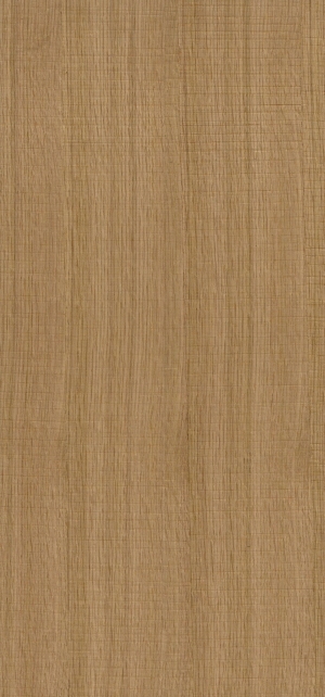 ModernWood Texture