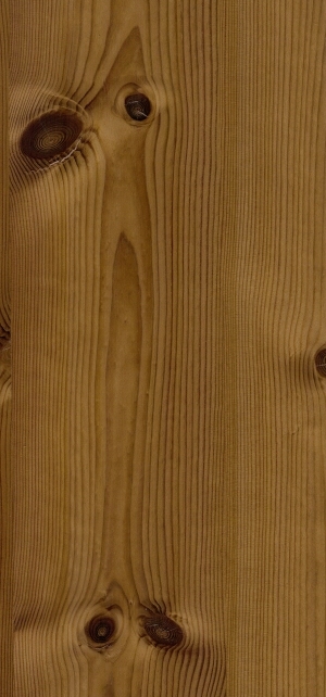 ModernWood Texture