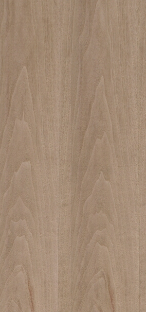 ModernWood Texture