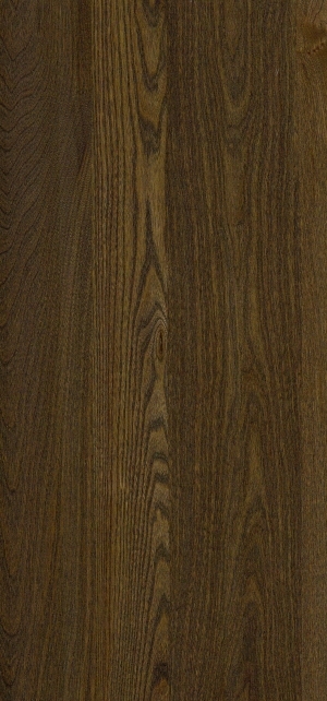 ModernWood Texture