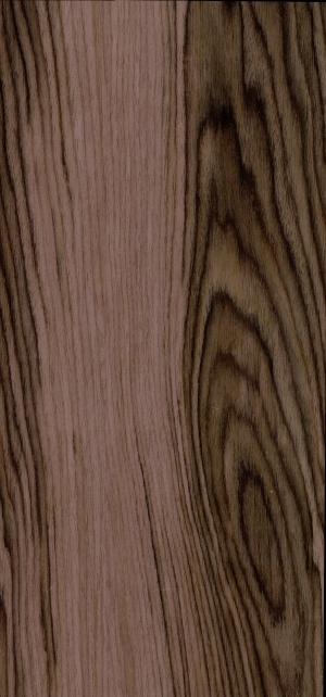 ModernWood Texture