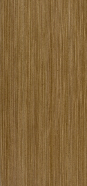 ModernWood Texture