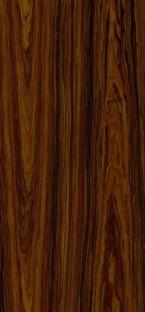 ModernWood Texture