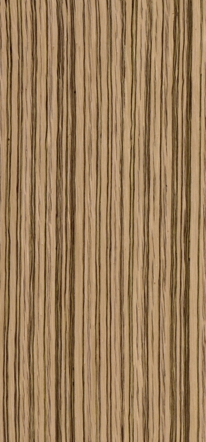 ModernWood Texture