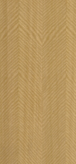 ModernWood Texture