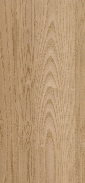 ModernWood Texture