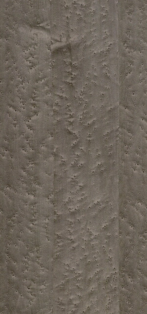 鸟眼枫木纹-ID:5087296