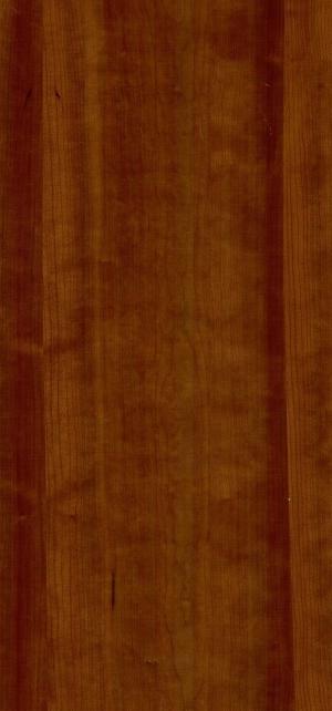 ModernWood Texture