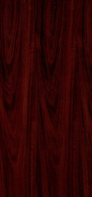 ModernWood Texture