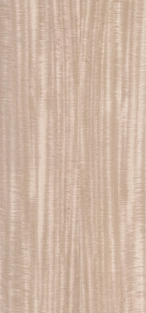 ModernWood Texture