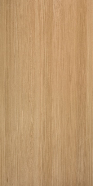 Wood Texture