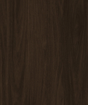 ModernWood Texture