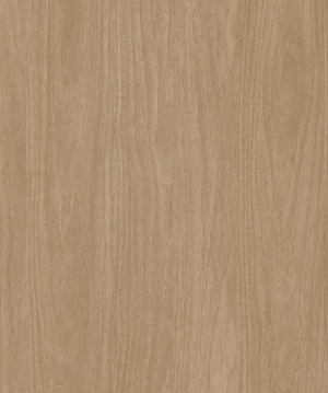 ModernWood Texture