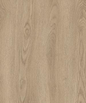 ModernWood Texture