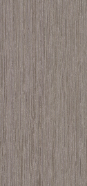 ModernWood Texture