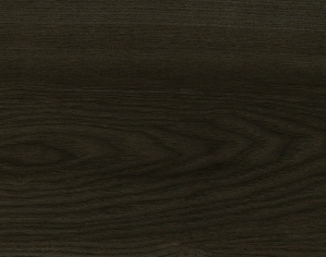 ModernWood Texture