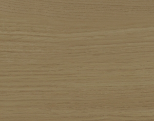 ModernWood Texture