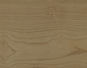 ModernWood Texture