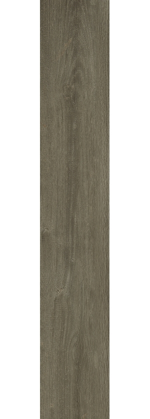 ModernWood Texture