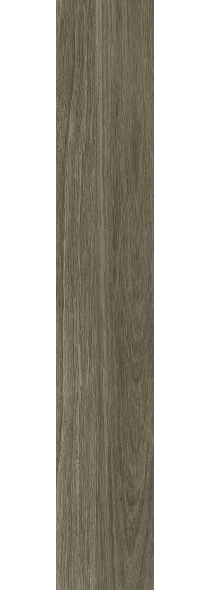 ModernWood Texture