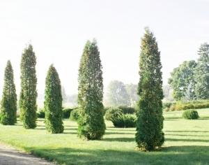 ModernOther Exterior Scenes