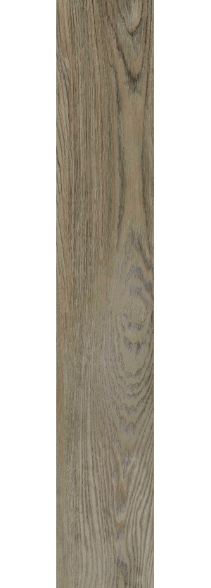 ModernWood Texture