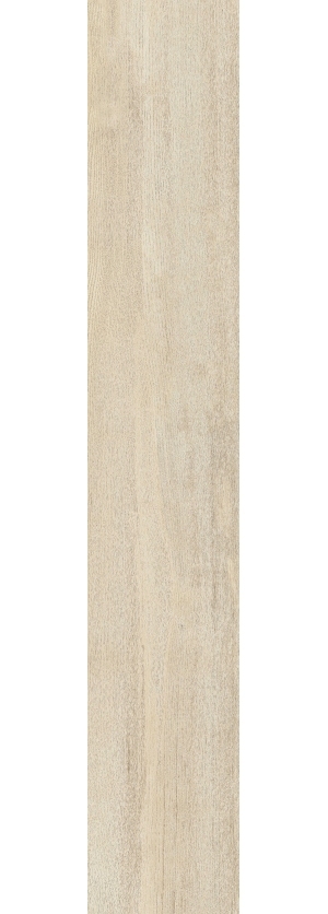 ModernWood Texture