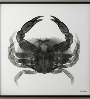 现代装饰画-ID:146406893