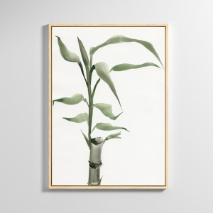 植物装饰画-ID:5141400