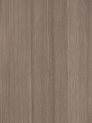 ModernWood Texture