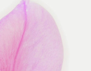 石材拼花-ID:318943984