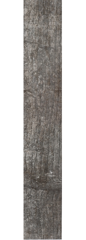 ModernWood Texture