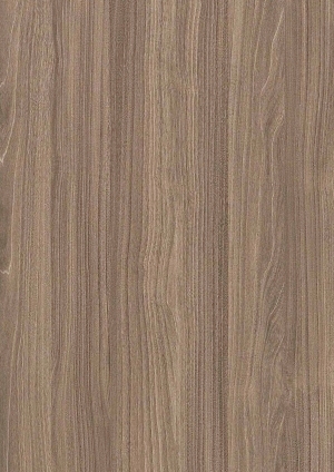 ModernWood Texture