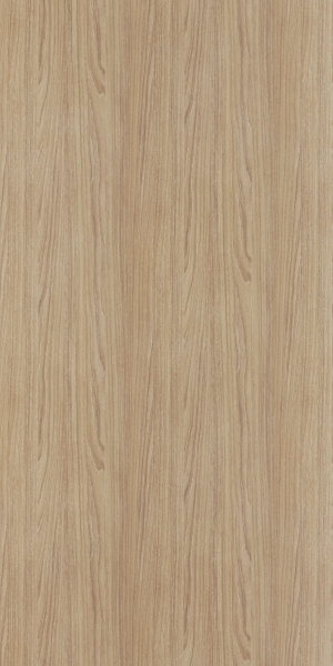 ModernWood Texture