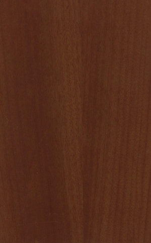 ModernWood Texture