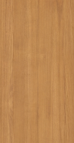 ModernWood Texture