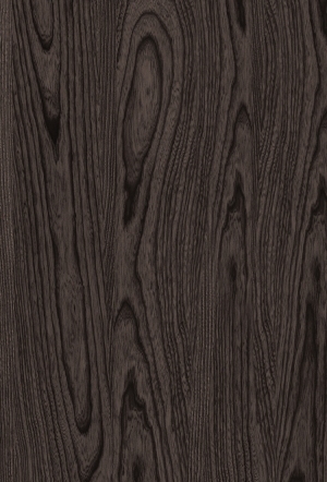 ModernWood Texture