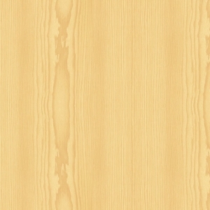 ModernWood Texture