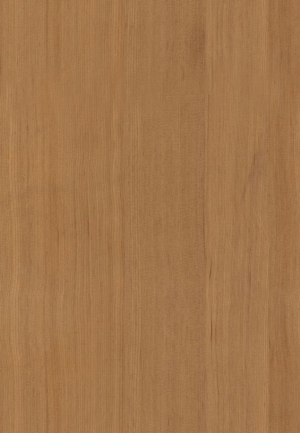 ModernWood Texture