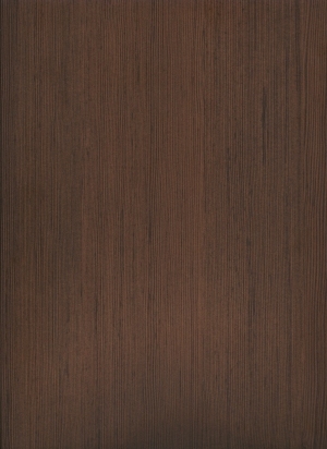 ModernWood Texture