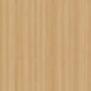 ModernWood Texture