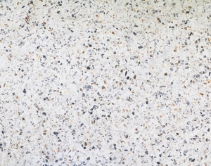 ModernTerrazzo