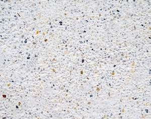 ModernTerrazzo