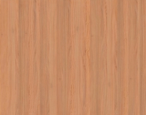 ModernWood Texture