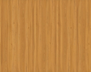 ModernWood Texture