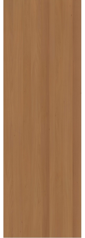 ModernWood Texture