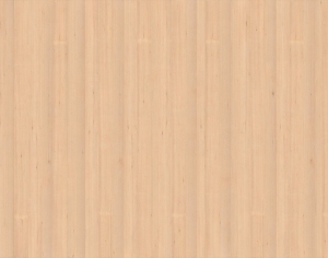 ModernWood Texture