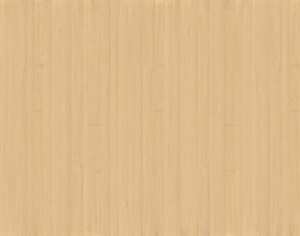 ModernWood Texture