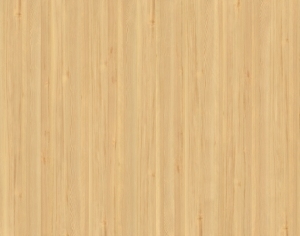 ModernWood Texture